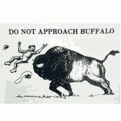 Bison safety